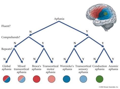 Aphasia Algorithm 的图像结果