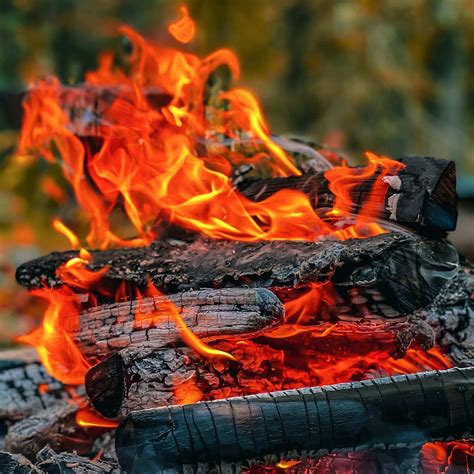 Firewood Cape Town | Free Delivery & Stacking | Mother City