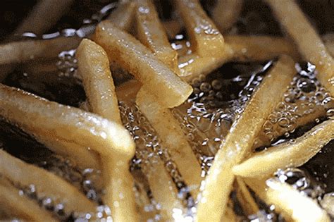 Methods of Cooking Food 的图像结果