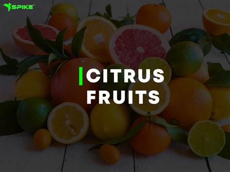 15 Best Food For Weight loss - Spikefitness