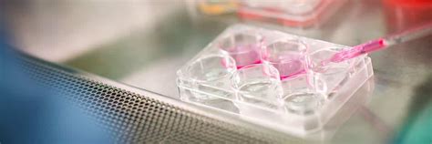 Image result for Examples of Bioethics