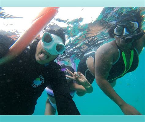 SNORKELING PALM BEACH (2026) All You Need to Know BEFORE You Go (with ...