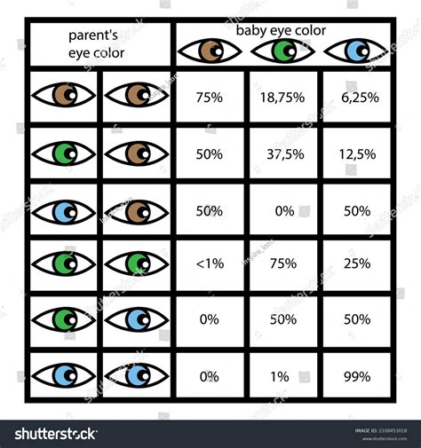 Eye Color Chart Genetics 的图像结果