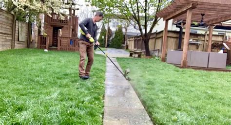 Image result for Ryobi String Trimmer Review
