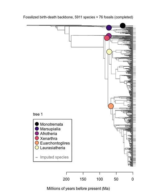 Life Evolution Chart 的图像结果