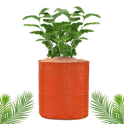 Orange Grow Bags Size 9x9 to 24x24 Inch – Singhal Mart