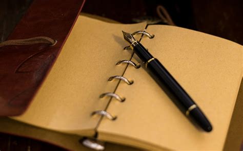 Fun and Useful Words That Rhyme with Nine: 94 Examples