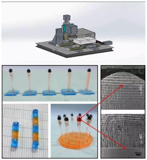 兰州化物所3D打印高性能墨水材料研究取得进展