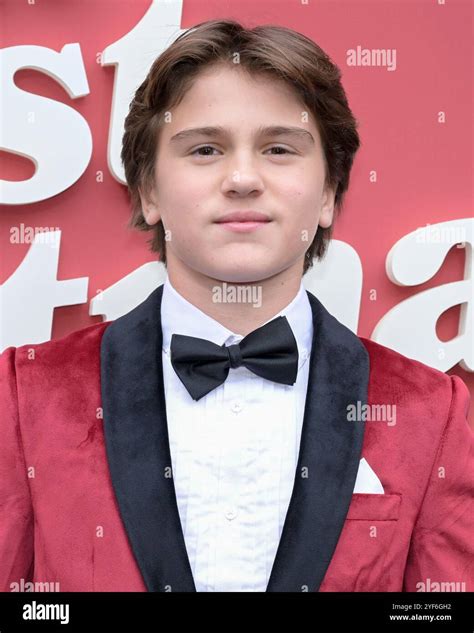 November 2, 2024, Hollywood, California, USA: Mason Nelligan attends ...