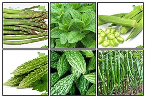 Creative Farmer Seeds Combo Herb Seeds & Vegetable Seeds : Bhindi (Arka ...