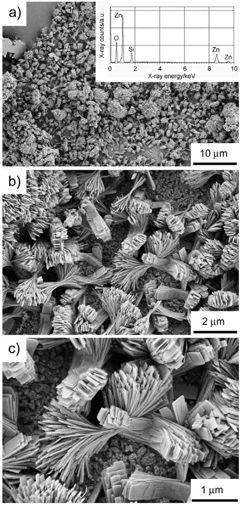 Lessons from a “Failed” Experiment: Zinc Silicates with Complex ...