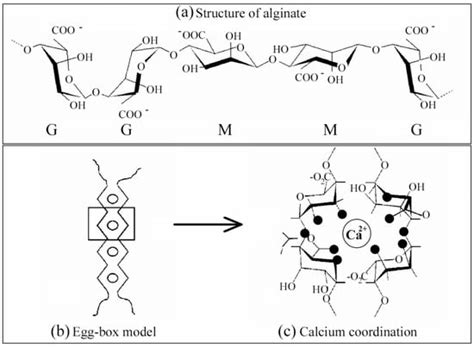 Alginate: Enhancement Strategies for Advanced Applications