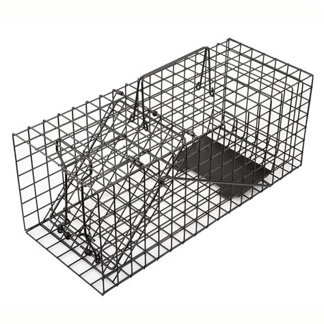 Anyhall Live Squirrel Trap Humane Animal Cage Trap Black for sale ...