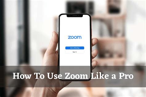 Zoom Pro Tutorial 的图像结果