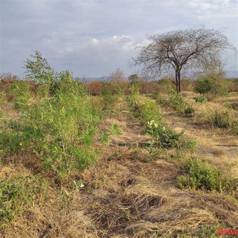 "Valmont Structures: Cultivating Sustainability through Employee ...