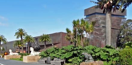 De Young Museum Tickets and Tours in San Francisco - Hellotickets