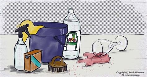 Image result for How to Deep Clean Small Rug without Washing Machine