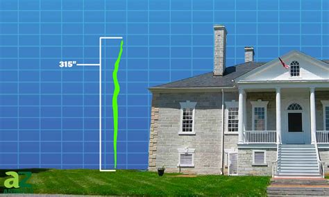 Image result for Fifty Feet Python