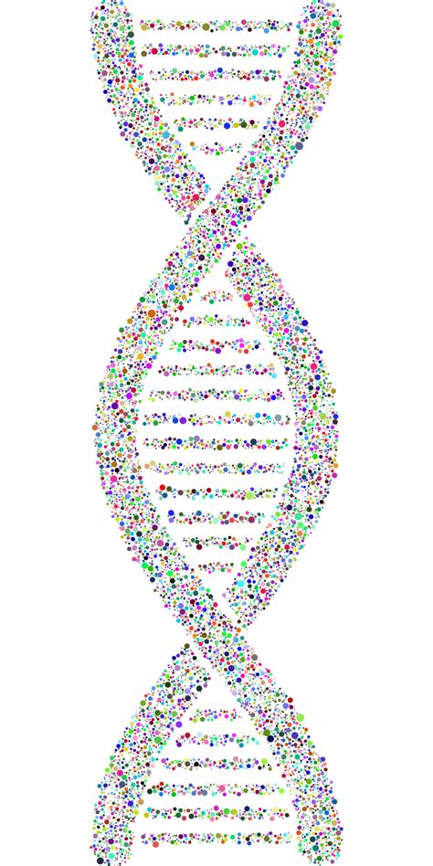 Image result for Intelligent Design Evidence