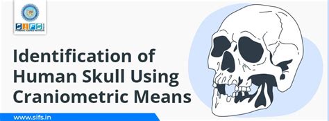 Identification of Human Skull Using Craniometric Means
