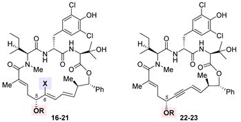 Anticancer Small-Molecule Agents Targeting Eukaryotic Elongation Factor ...