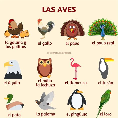 Las Aves - Nombres de Animales en Español