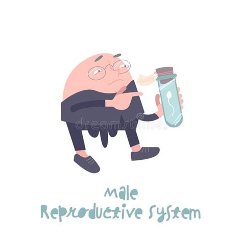 Male Reproductive System Animation 的图像结果