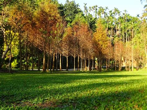ISLAND EMPTY CAMPGROUND (Chiayi) - Campground Reviews & Photos ...
