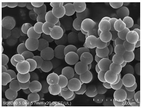 CO2 Reduction to Valuable Chemicals on TiO2-Carbon Photocatalysts ...