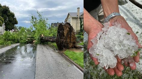 Straight Line Wind Damage 的图像结果