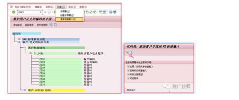 SAP Coding Block 的图像结果