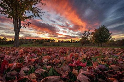 mobile photography tips and tricks