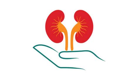 Kidney damage and high BP: Why blood pressure and kidneys are more ...
