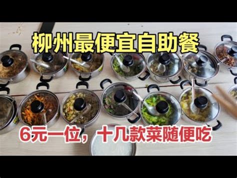 广西柳州“最便宜的自助餐”，6元一位，十几种菜随便吃 - YouTube