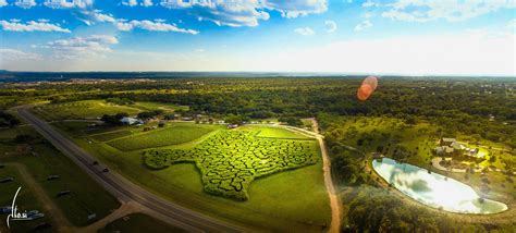 Sweet Berry Farm 🍓 Marble Falls, TX : r/texas