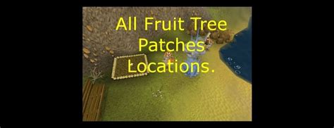 Image result for OSRS Tree Patches