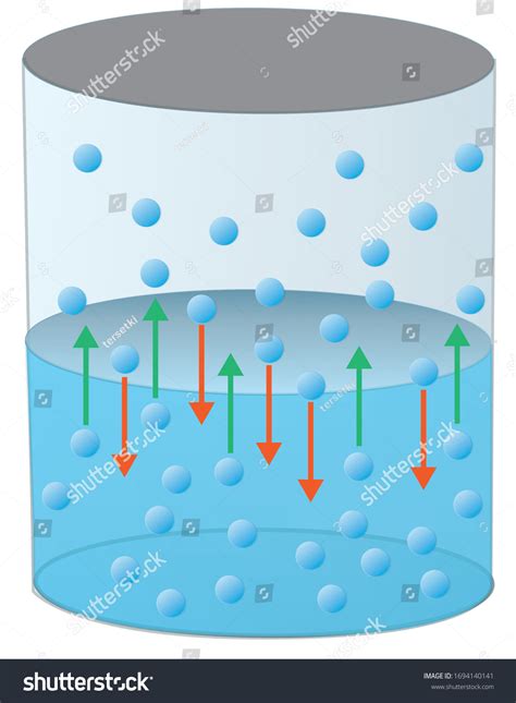Pressure Molecules Vapor Phase On Liquid Stock Vector (Royalty Free ...