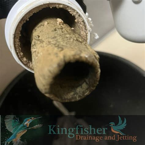 Struggling with Slow Drains? Here's How to Fix the Problem - Kingfisher ...