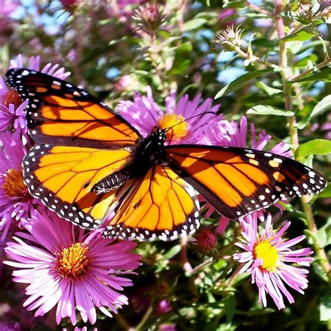 Coltrain Funeral Home, LLC | Middleburgh NY