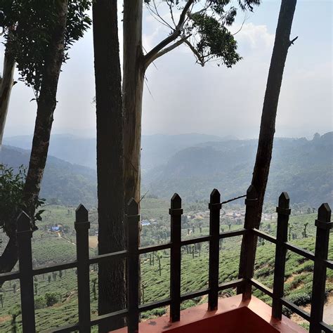 TEA VALLEY RESORT (Pothamedu) - Resort Reviews, Photos, Rate Comparison ...