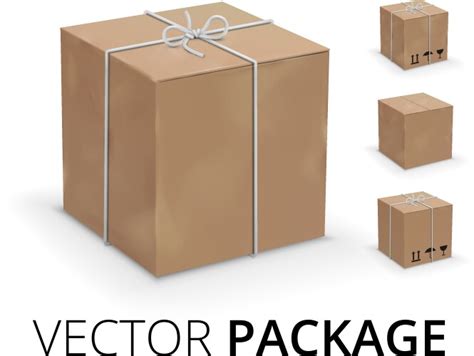 Vector Box 的图像结果