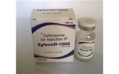 Zylocefff-1000 Injection ZYLIG LIFESCIENCES