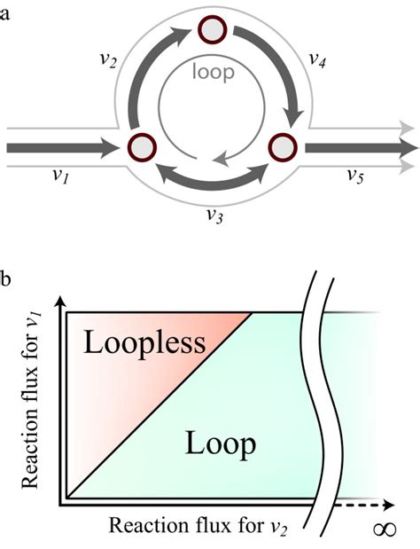 Image result for What Is Loop Law
