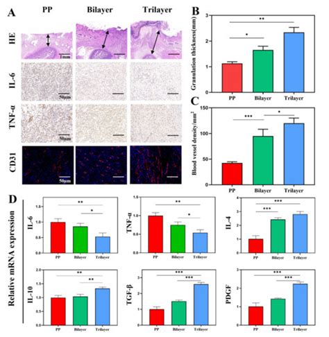 A Trilayer Dressing with Self-Pumping and pH Monitoring Properties for ...
