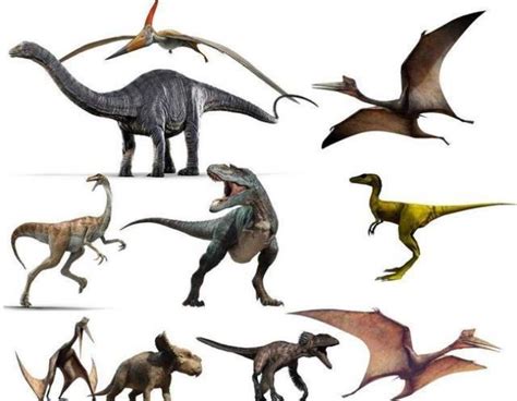最常见的100种恐龙