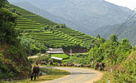 Lao Cai, Vietnam - Reise-Tipps für einen spannenden Urlaub