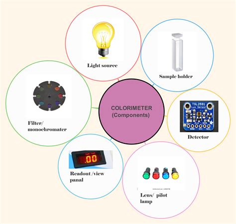 Image result for Bubble Map Examples