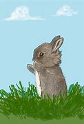 Image result for Cute Bunny Facts