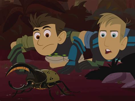Prime Video: Wild Kratts - Season 5