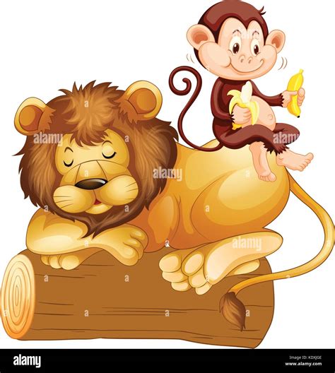 Monkey sitting on lion illustration Stock Vector Image & Art - Alamy